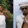 Apple Music Names Wizkid and Tems Among Most-Streamed Artists of All Time